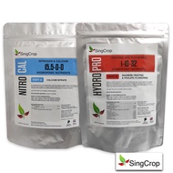 SingCrop HYDRO-PRO hydroponic nutrients 1-10-32 / dry powder A & B / for Fruiting & Flowering / fert