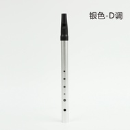 Beginners Introduction to Irish Whistle Flute: Metal with 6 Holes C D Modes High Low Bass Straight F