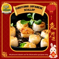【FARM TO PLATE】1kg Fukuyama Japanese Scallop / 日本福岛扇贝