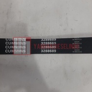 Van V Ribbed Belt Cummins 4BT 6BT 3288689 3290040 Mexico Mexico