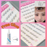 Soft Cluster Lashes /Free Glue & Shipping