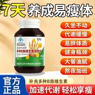 new Essential staying / Various B vitamins help boost metabolism b1b2b6b12 for men women who stay up