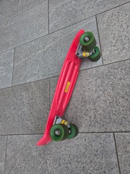 Penny Board Skateboard