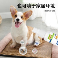 Pet Toes Skin Itchy Flea/Nanyang 9.25999