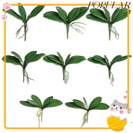 POPULAR Simulation Leaves Orchid Leaves Decorative Flowers Home Decor Phalaenopsis Leaf