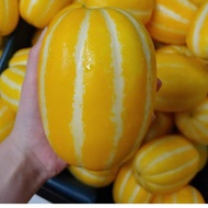 5 biji benih Benih Melon Korea CHAMOE MELON