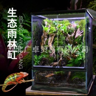 Rainforest Tank Rain Tank Ecological Landscaping Tank Tropical Rainforest Plant Lizard Reptile Pet R
