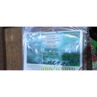 majalah ujang no14...