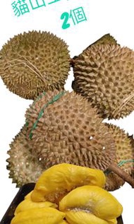 馬來西亞貓山王