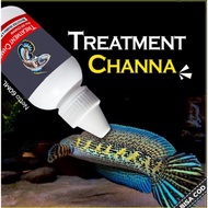 Treatment Ikan Channa Auranti Andrao Stewarti Limbata Maru Barca Blue