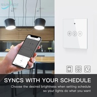 Wireless WiFi Dimmer Switch with RF Remote for Convenient Lighting Control