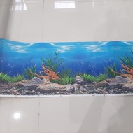 Background aquarium 30 cm Bolak balik gbr ikan hias laut