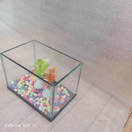 Aquarium Kaca ikan cupang satu set batu warna-warni Aquarium 15 X10 X 12 aquarium tanaman hias akuar