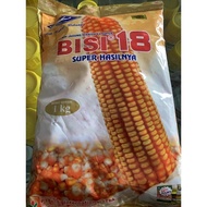 Sale Benih Jagung Bisi 18