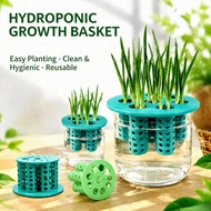 7‑Hole Hydroponic Plant Basket | Seedling Grow Container for Scallion Garlic Cilantro | Reusable Soi