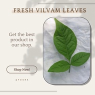 FRESH VILVAM LEAVES /BAEL LEAVES
