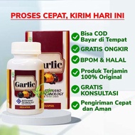 Akifa Herbal - Black Garlic Kapsul Bawang Putih Hitam Tunggal Obat