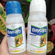 BAYCARB 500 EC Treats Grasshoppers