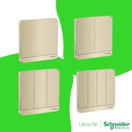 Schneider AvatarOn 1 gang/ 2 gang/ 3 gang / 4 gang (1 way & 2 way), Metal Hairline Gold
