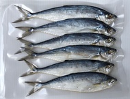 ปลาสีเสียด ทอดหอมหรอย ไม่เค็ม เนื้ออร่อย ปลาตากแห้ง อาหารทะเลแห้ง  ปลาสีเสียดเล็ก ไซต์ขนาด 20-30 ตัวกิโล