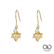 [C & C] Hexagram Earrings (926 Silver Anti-Allergic) _ E-CC-Y033