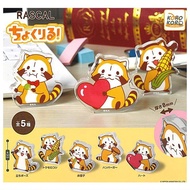 全新未開封-KORO KORO Collection Puchi Rascal the Raccoon 小小浣熊 拉斯卡爾 壓克力 立牌 扭蛋 玩具 模型 公仔 裝飾 擺設