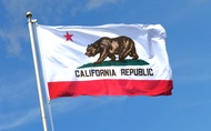 bendera Kalifornia / usa state bear california flag