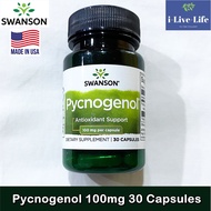 เปลือกสนฝรั่งเศสสกัด Pycnogenol 100 mg 30 Capsules - Swanson สารสกัดเปลือกสนมาริไทม์ จากประเทศฝรั่งเ