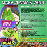 COMBO OFFER MAHA VILVAM + VANNI PLANT +RUDRAKCHA TREE