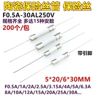 Induction Cooker Ceramic Fuse Tube 5 * 20 6x30 1A 2A 5A 6.3A 0.5A-30A with Pin 2