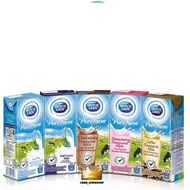 Dutch Lady Assorted 200ml