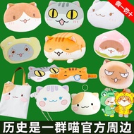 Taiwan Shipment If History Is A Group Of Meow Merchandise Ramen Pillow Puppet Card Holder Keychain S
