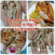 ikan gelama bekok / ikan bekok