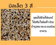 มิลเลต มิลเล็ต มิลเลตสามสี มิลเล็ตสามสี มิลเลต3สี มิลเล็ต3สี เขาเล็ก อาหารนก แบ่งบรรจุ 300g 500g และ 1 kg ******💥พร้อมส่ง💥