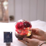 Eternal Rose_Beauty And The Beast