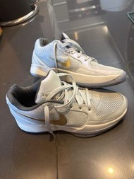 Nike 籃球鞋