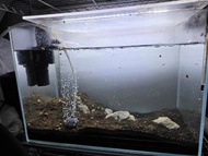 Aqua Clover 40cm 水晶魚缸 包燈 Eheim濾水器 暖管