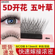 Five-Leaf Clover Grafted Eyelashes yy Clover Four-Leaf Clover Thick Not Loose Roots 5D Flowering Bea