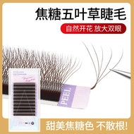 Caramel Five-Leaf Clover Grafted Eyelashes Dark Brown Natural Non-Scattered Roots False Eyelashes 5-