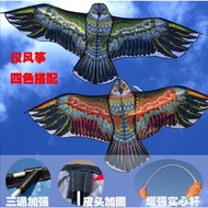 Eagle kite, Bird kite,Bird kite, Eagle kite,kite, boy kite