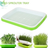 Seed Sprouter Tray Seed Germination Tray Soil-Free Big Nursery Tray Healthy Wheatgrass Seeds Grower &amp; Storage Trays SHOPQJC6722