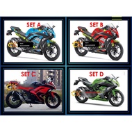 2. Kawasaki Ninja 250r /  300 13-17 Years Cover Set (Fairing) (Including Tank Cover).