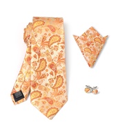 MYNPHYNA Men's Paisley Tie Set in Gift Box with 3.15'' (8cm) Tie, Pocket Square, and Cufflinks