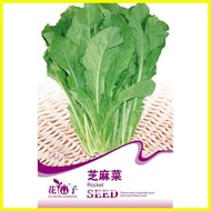 ⊙ ✻ ♝ Rocket Arugula Vegetable / Plant Seeds