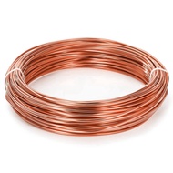 8 Gauge 100 Ft Pure Bare Copper Wire for Jewelry Making Crafts and Electroculture Gardening