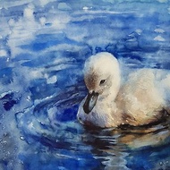 Little swan - artwork hand painted Watercolor painting on paper
