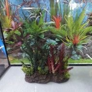Aquarium plant decoration