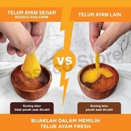 Premium Chicken Eggs 30 eggs (1 tray) fresh grade negri chicken eggs HTa