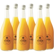 【Plex Trading】100%-Natural-Kawachibankan-Mikan-Juice720ml//1kind-6-Bottles-in-Set