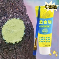 DALIA Tree Wound Sealant, 100g Tree Repair Grafting Tree Sealer,  with Brush Smear Agent Plant Resto